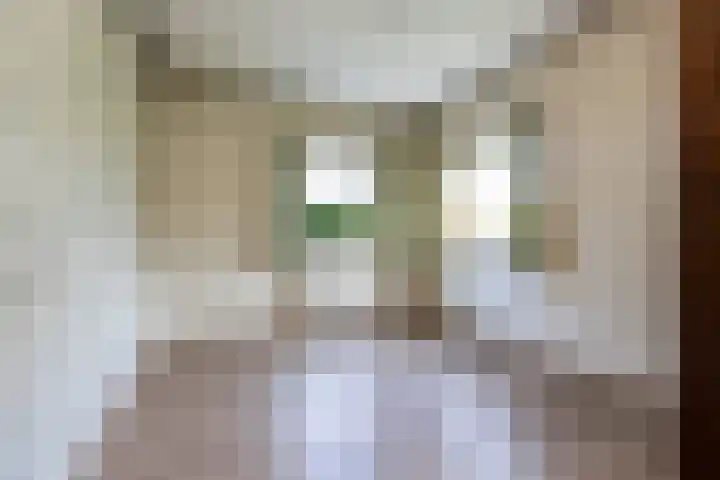 Neer Andelse weg 3 Andel thumbnail 23