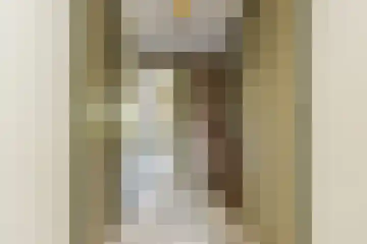 Neer Andelse weg 3 Andel thumbnail 30