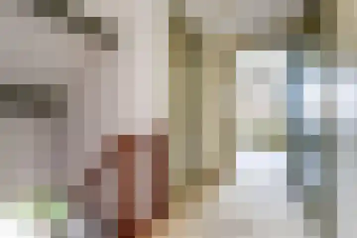 Neer Andelse weg 3 Andel thumbnail 31