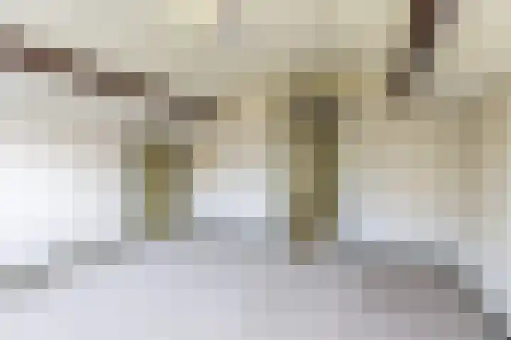 Neer Andelse weg 3 Andel thumbnail 33