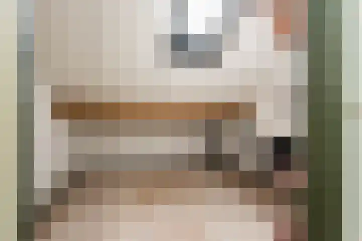 Neer Andelse weg 3 Andel thumbnail 36