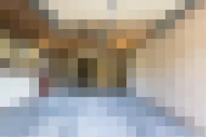 Neer Andelse weg 3 Andel thumbnail 38
