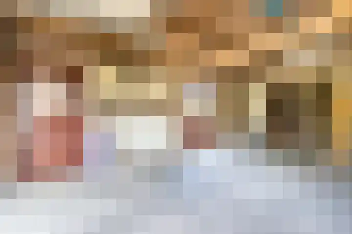 Neer Andelse weg 3 Andel thumbnail 39