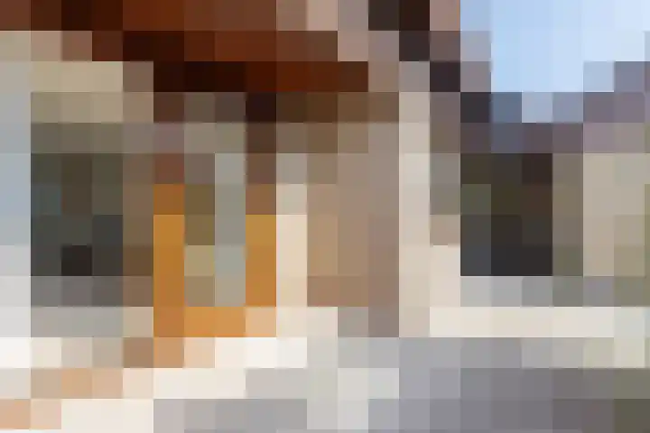 Neer Andelse weg 3 Andel thumbnail 4