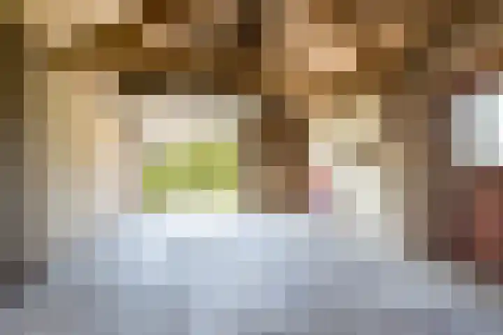 Neer Andelse weg 3 Andel thumbnail 40