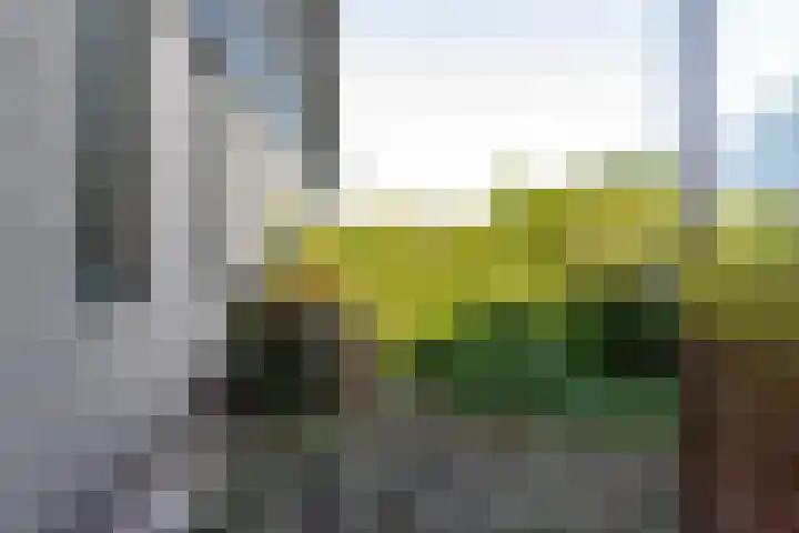 Neer Andelse weg 3 Andel thumbnail 41