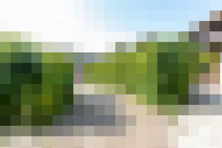 Neer Andelse weg 3 Andel thumbnail 42