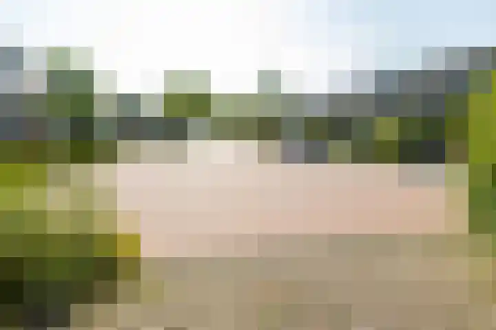 Neer Andelse weg 3 Andel thumbnail 43
