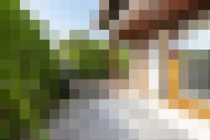 Neer Andelse weg 3 Andel thumbnail 45