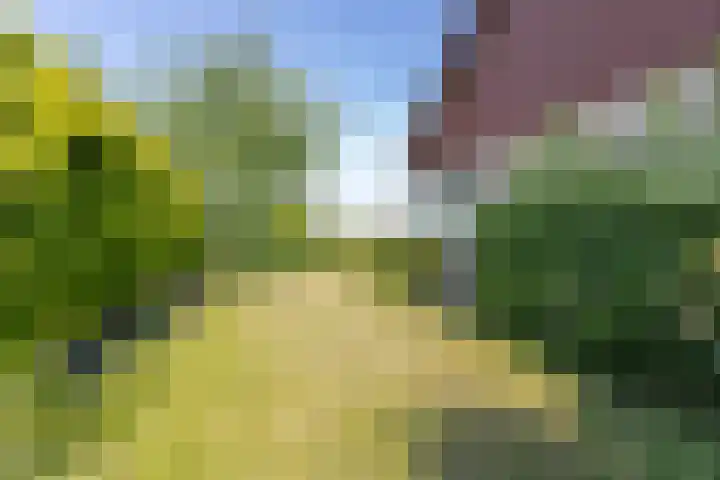 Neer Andelse weg 3 Andel thumbnail 47