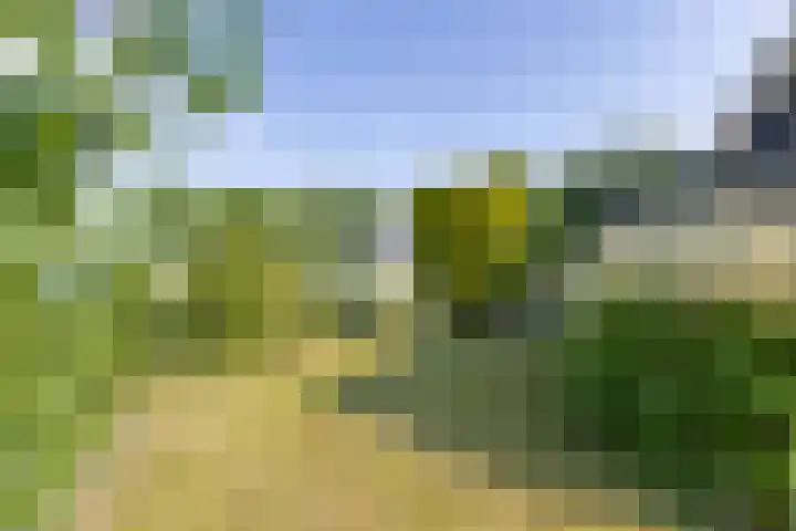 Neer Andelse weg 3 Andel thumbnail 48