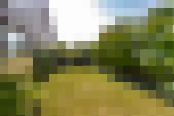 Neer Andelse weg 3 Andel thumbnail 49