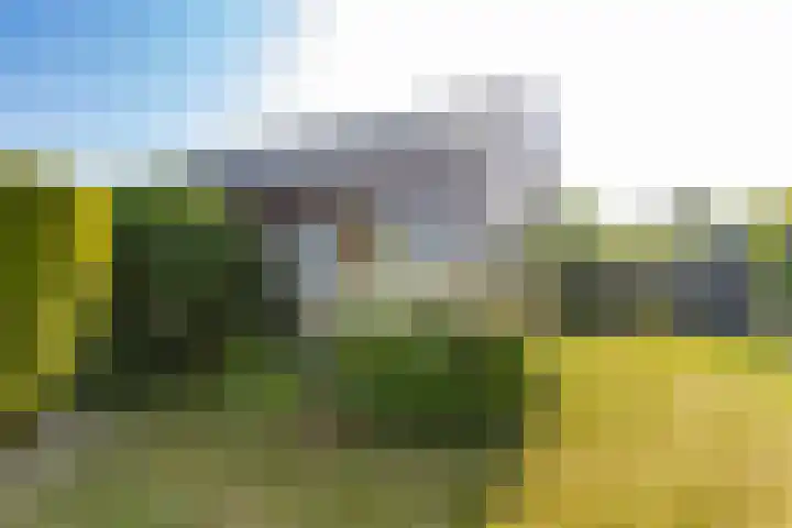 Neer Andelse weg 3 Andel thumbnail 50