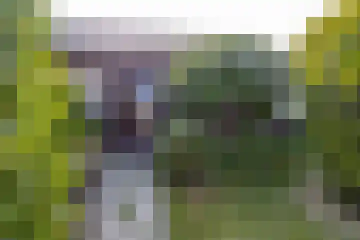Neer Andelse weg 3 Andel thumbnail 51