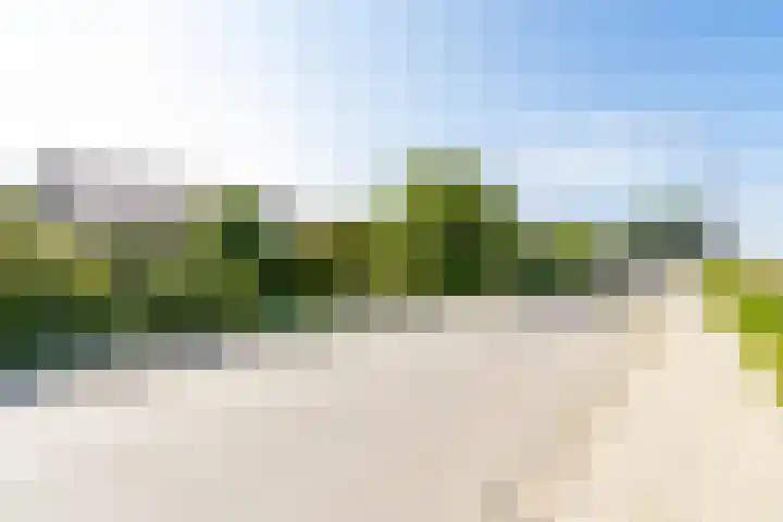 Neer Andelse weg 3 Andel thumbnail 57