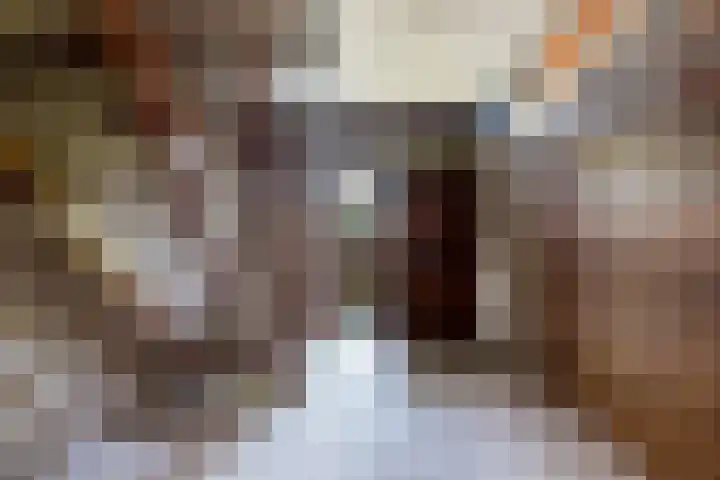 Neer Andelse weg 3 Andel thumbnail 9