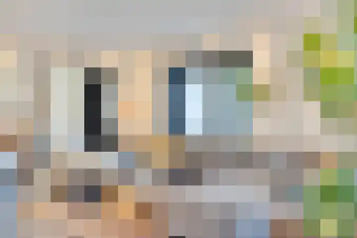 Neerakker 60 Mierlo thumbnail 14