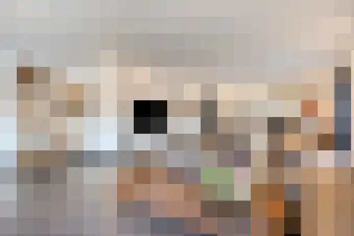 Neerakker 60 Mierlo thumbnail 15