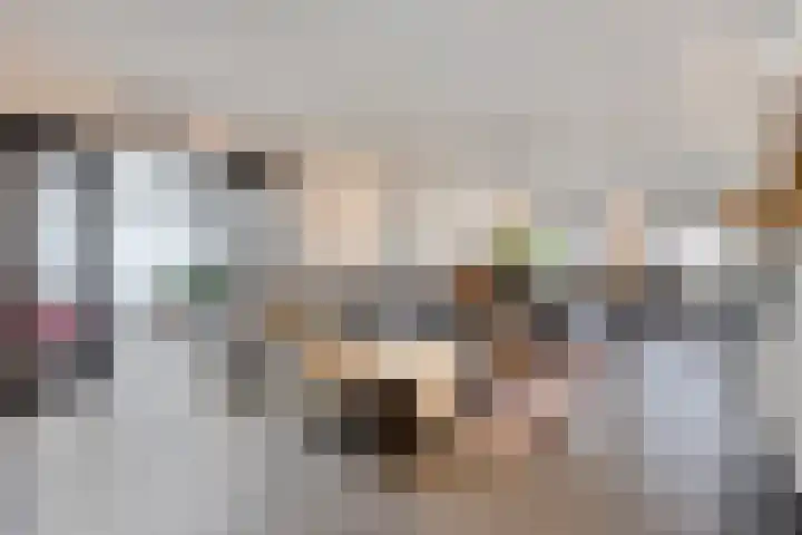 Neerakker 60 Mierlo thumbnail 17