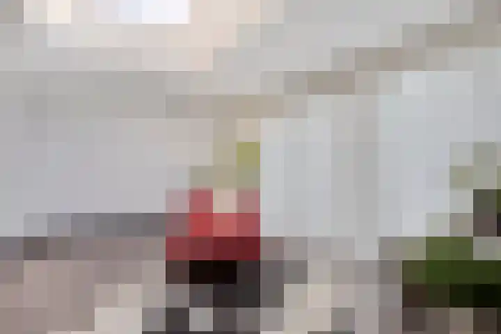 Neerakker 60 Mierlo thumbnail 20