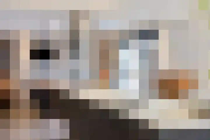 Neerakker 60 Mierlo thumbnail 28