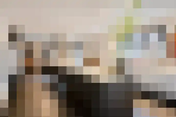 Neerakker 60 Mierlo thumbnail 33