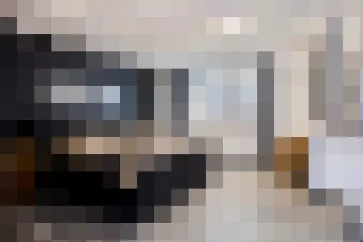 Neerakker 60 Mierlo thumbnail 41