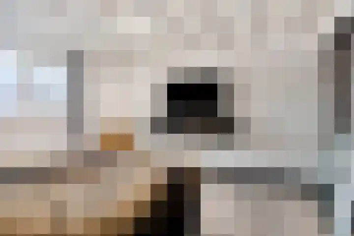 Neerakker 60 Mierlo thumbnail 42
