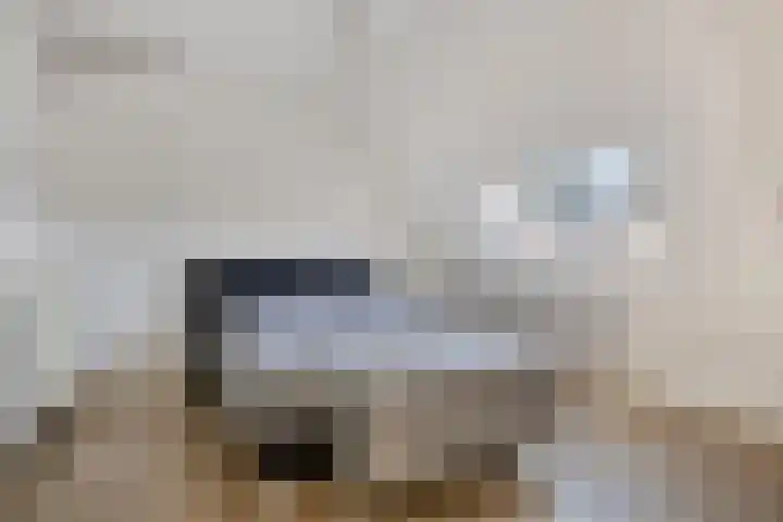 Neerakker 60 Mierlo thumbnail 52