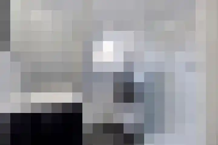 Neerakker 60 Mierlo thumbnail 57