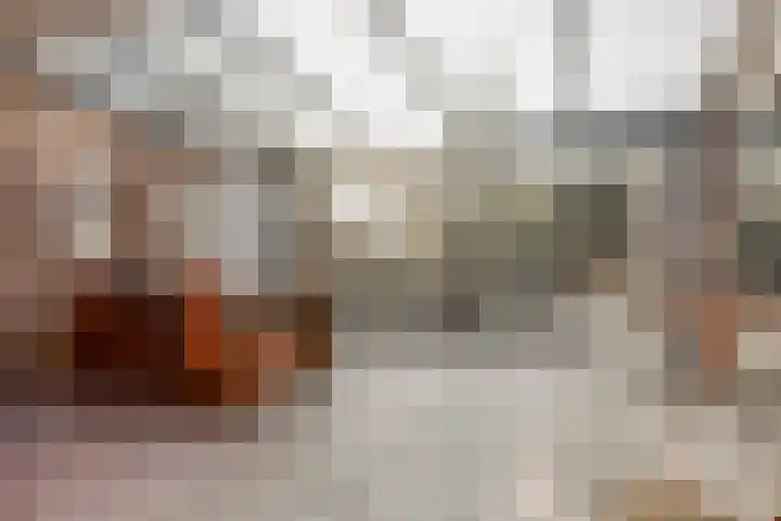 Neerakker 60 Mierlo thumbnail 60