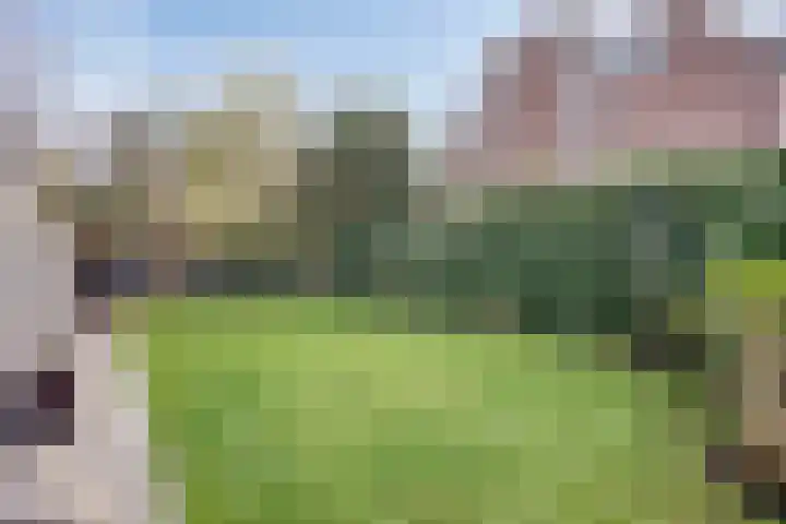 Neerakker 60 Mierlo thumbnail 67