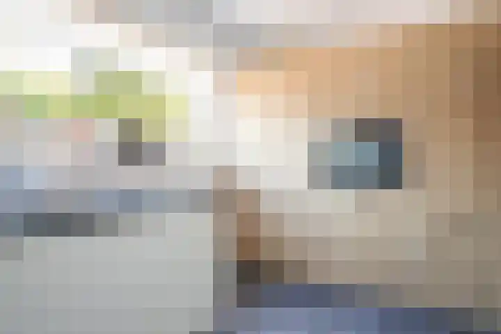 Neerbeekerhof 22 Beek thumbnail 12