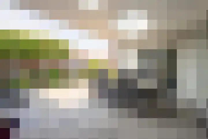 Neerbeekerhof 22 Beek thumbnail 24