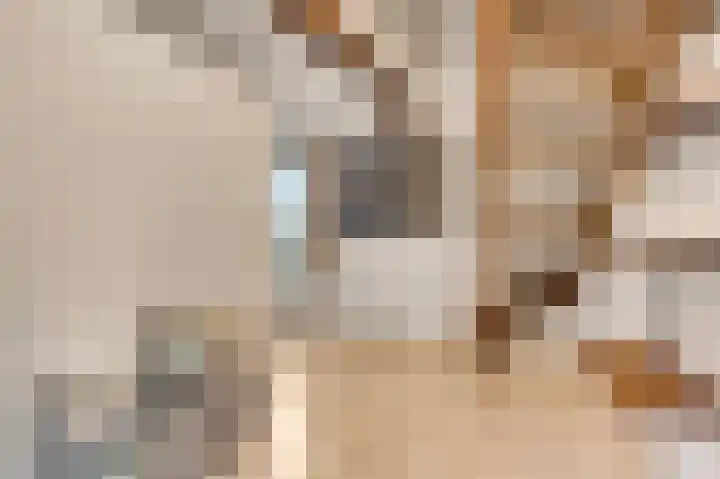 Neerbeekerstraat 22 Beek thumbnail 32