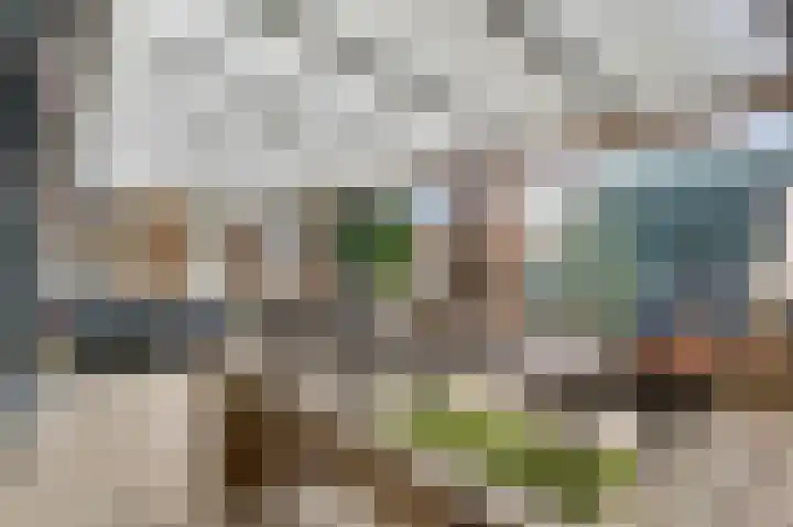 Neerbeekerstraat 22 Beek thumbnail 35