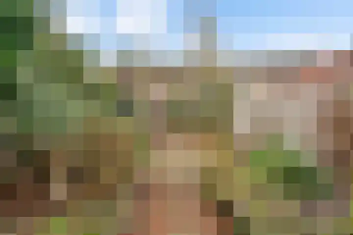 Neerbeekerstraat 22 Beek thumbnail 39