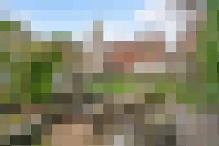 Neerbeekerstraat 22 Beek thumbnail 40