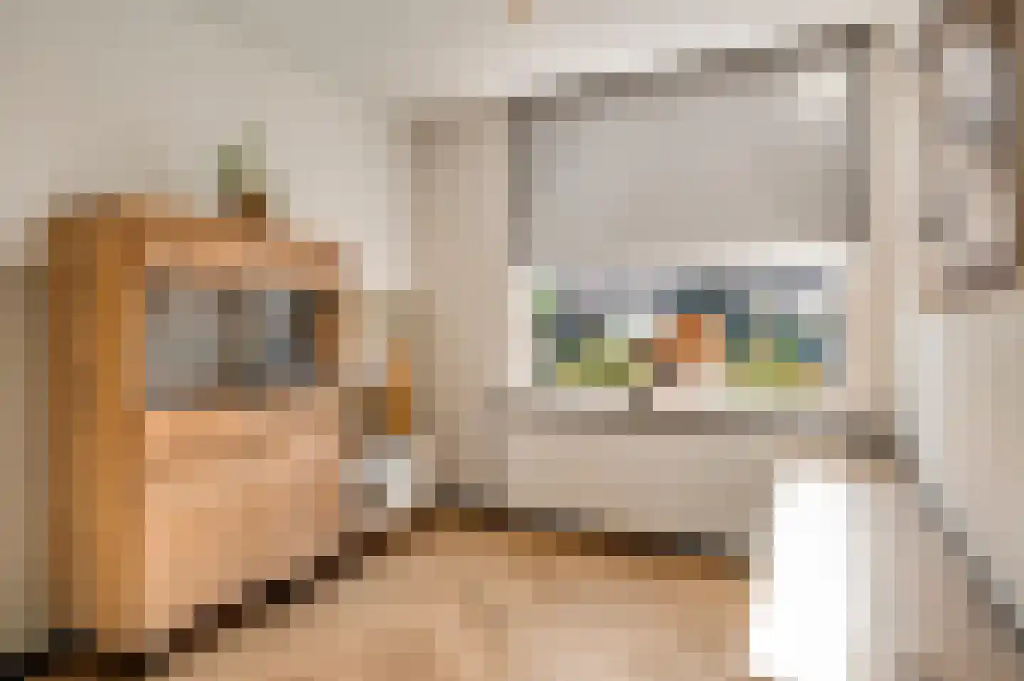 Neerbeekerstraat 38 Beek thumbnail 13