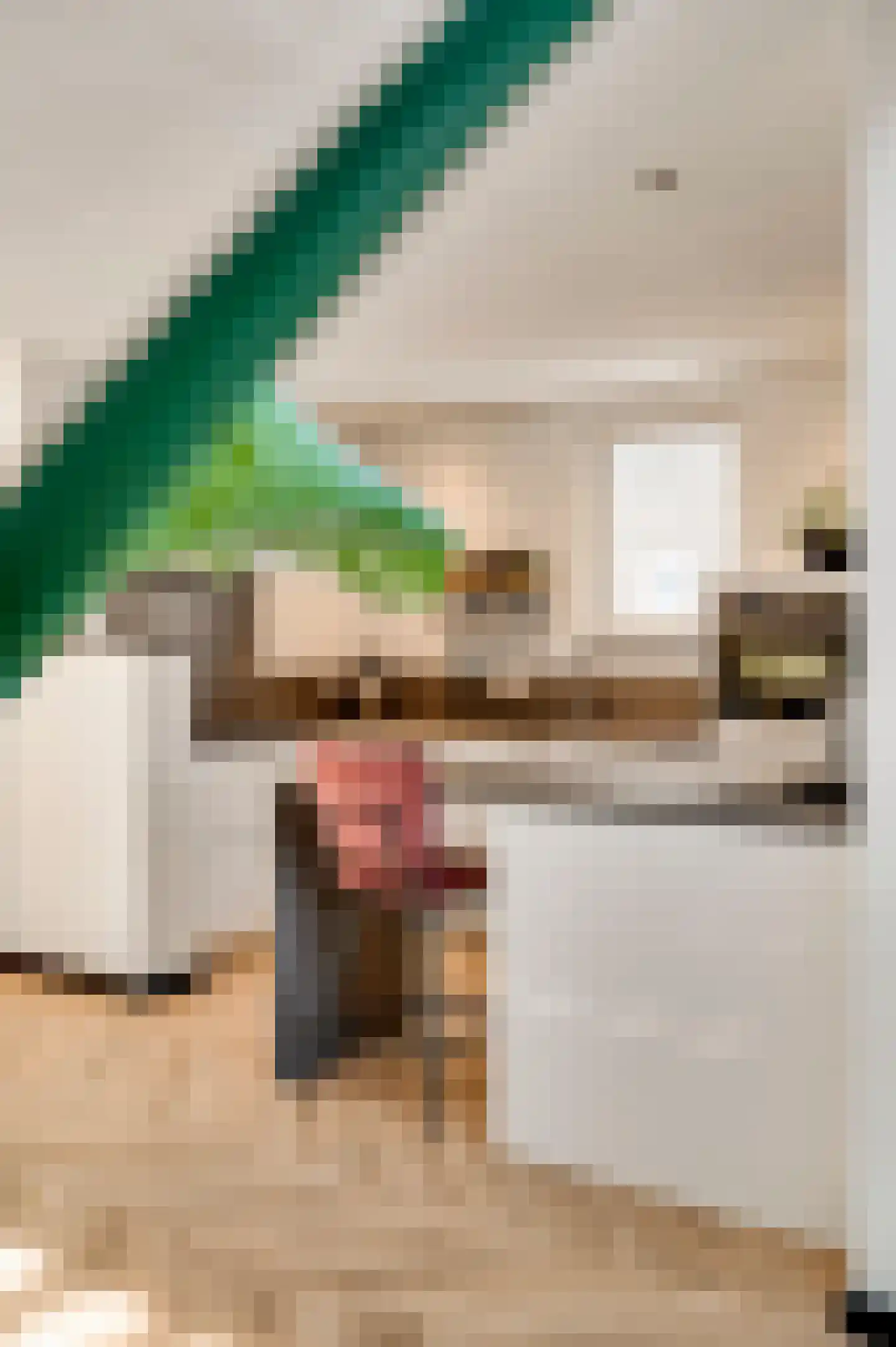 Neerbeekerstraat 38 Beek thumbnail 19