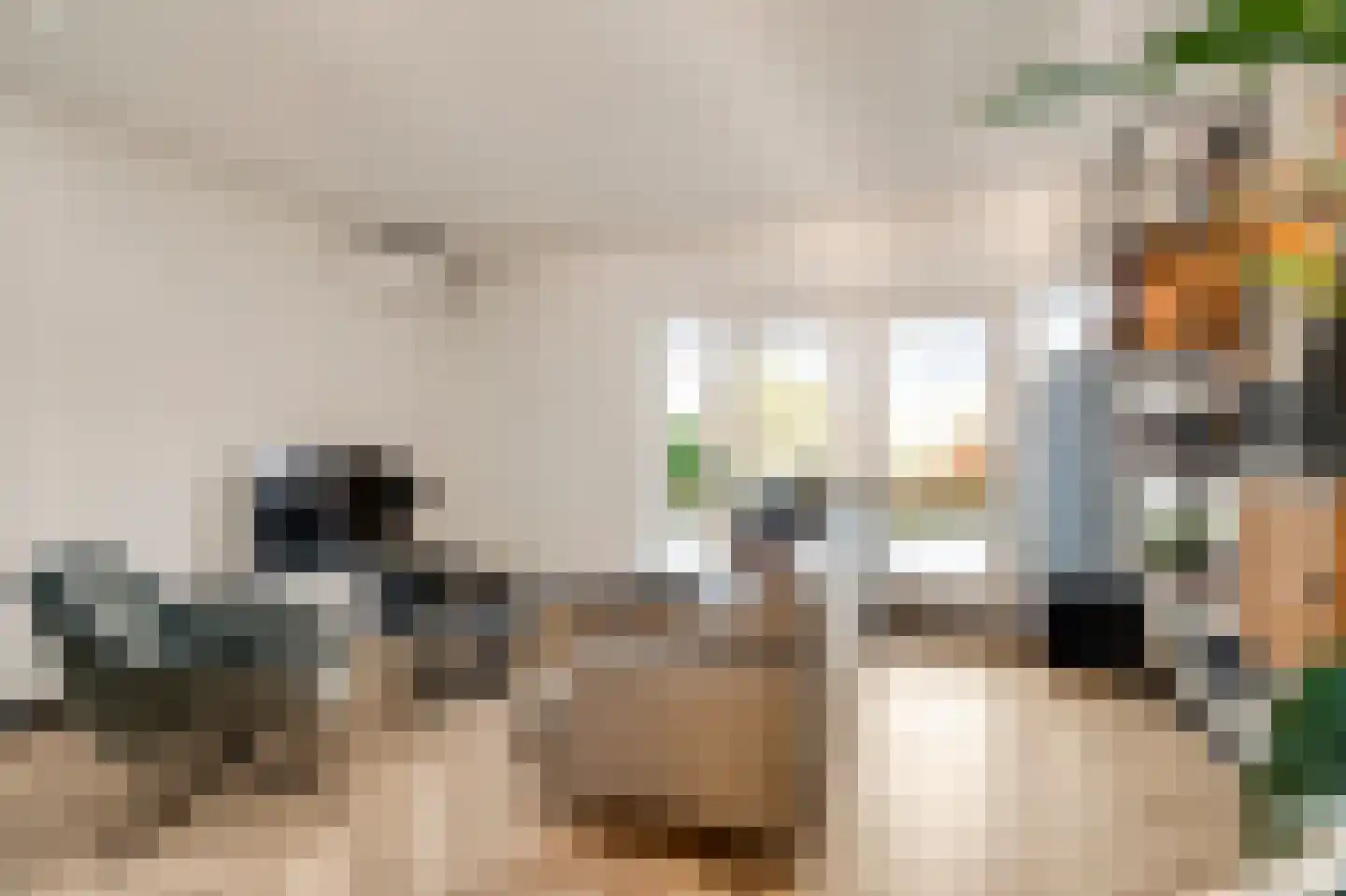 Neerbeekerstraat 38 Beek thumbnail 23