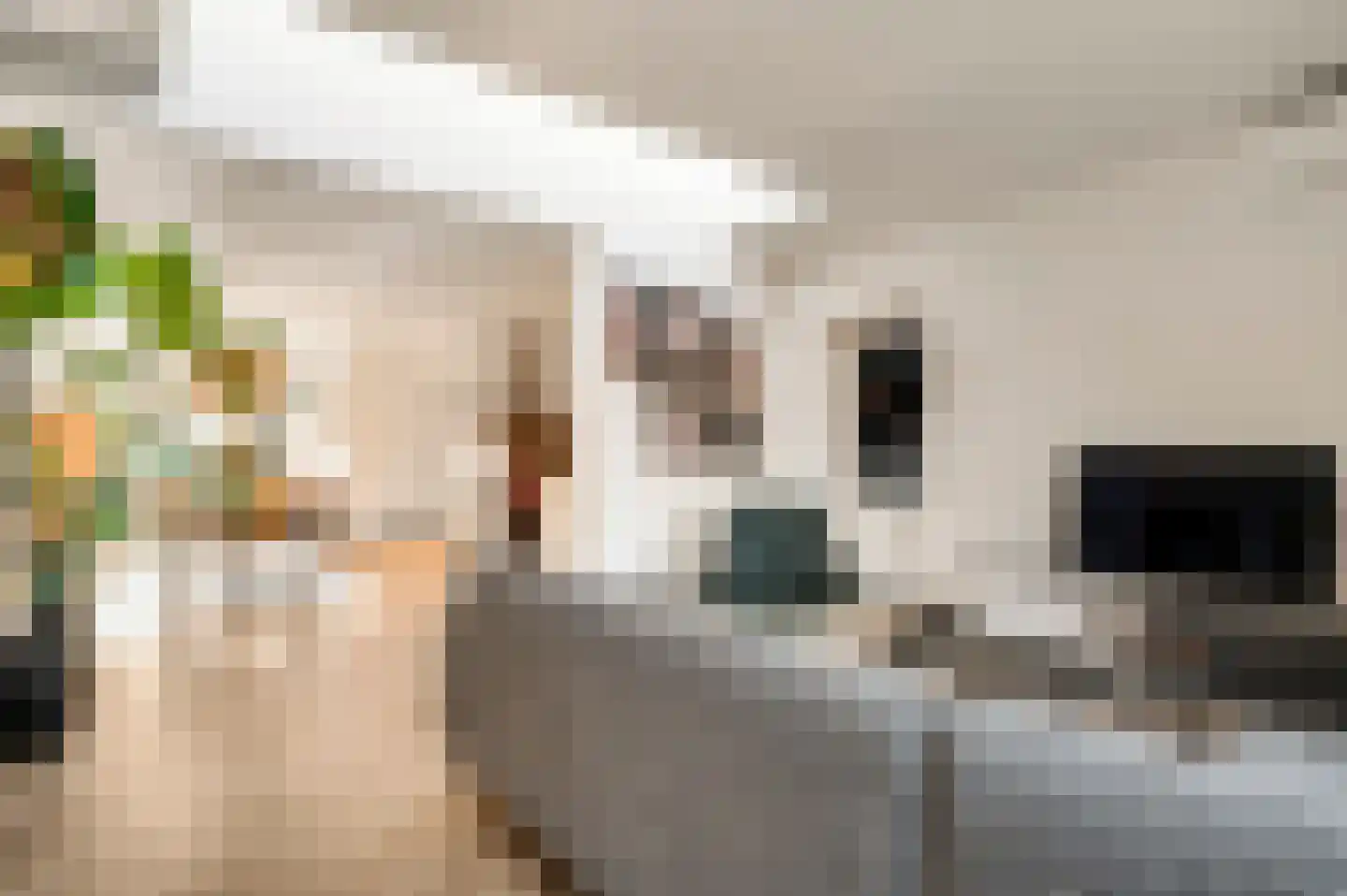 Neerbeekerstraat 38 Beek thumbnail 26