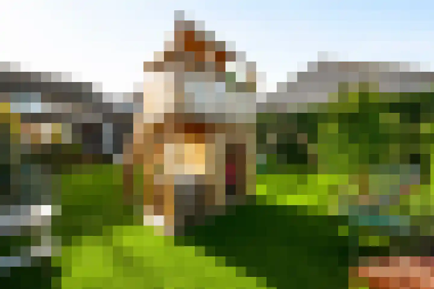 Neerbeekerstraat 38 Beek thumbnail 33