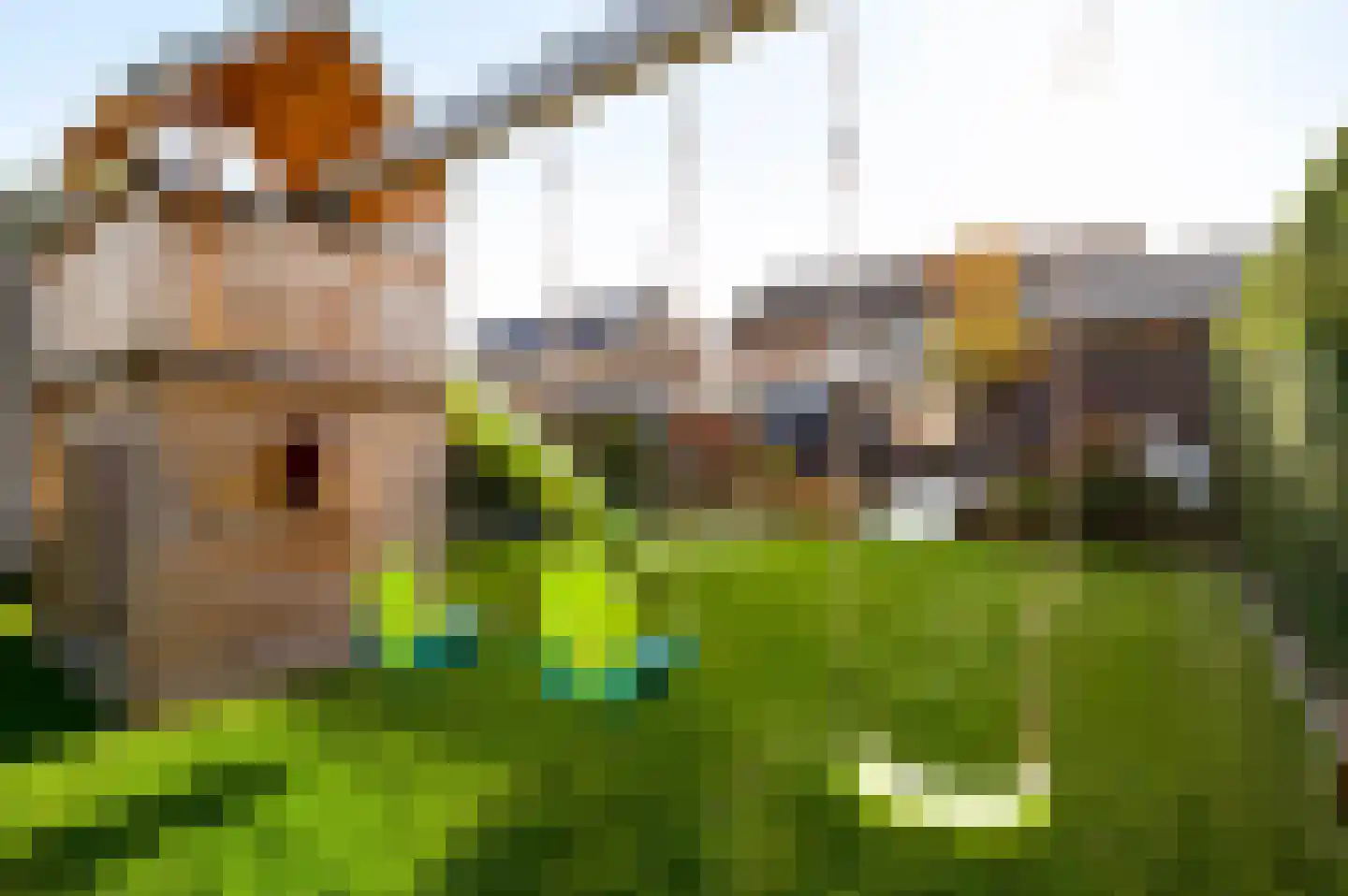 Neerbeekerstraat 38 Beek thumbnail 5
