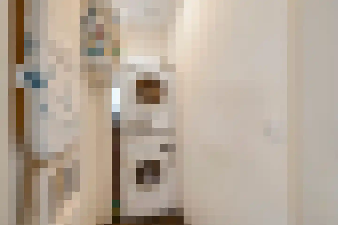 Neerbeekerstraat 38 Beek thumbnail 52