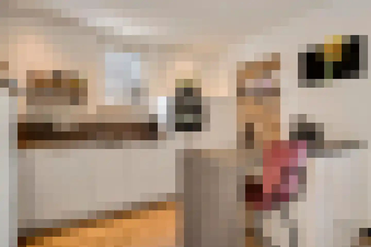 Neerbeekerstraat 38 Beek thumbnail 6
