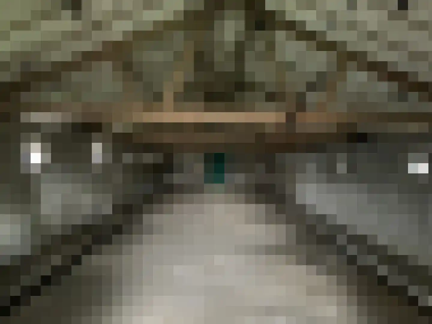 Neerbeekerstraat 45 Beek thumbnail 10