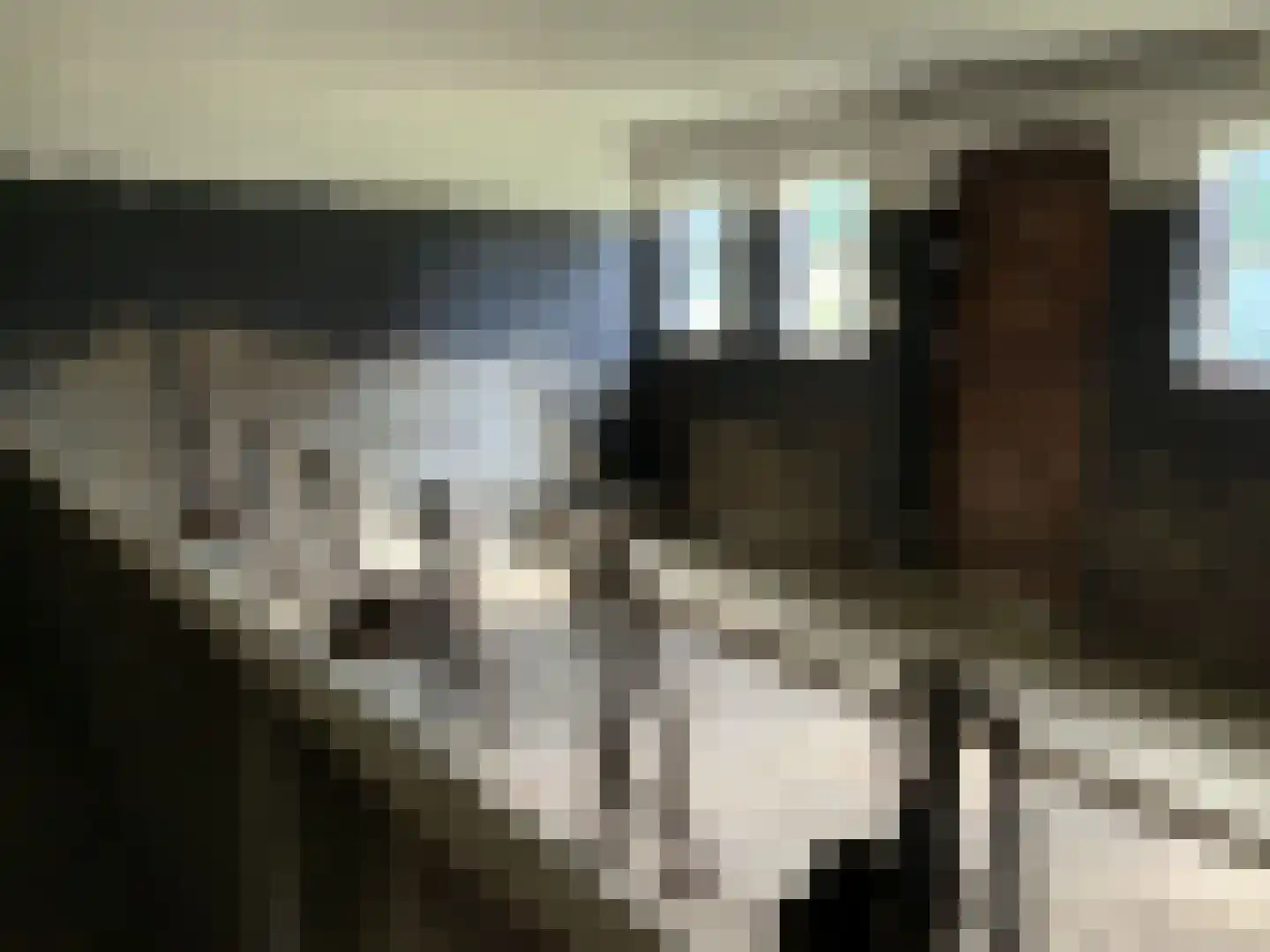 Neerbeekerstraat 45 Beek thumbnail 7