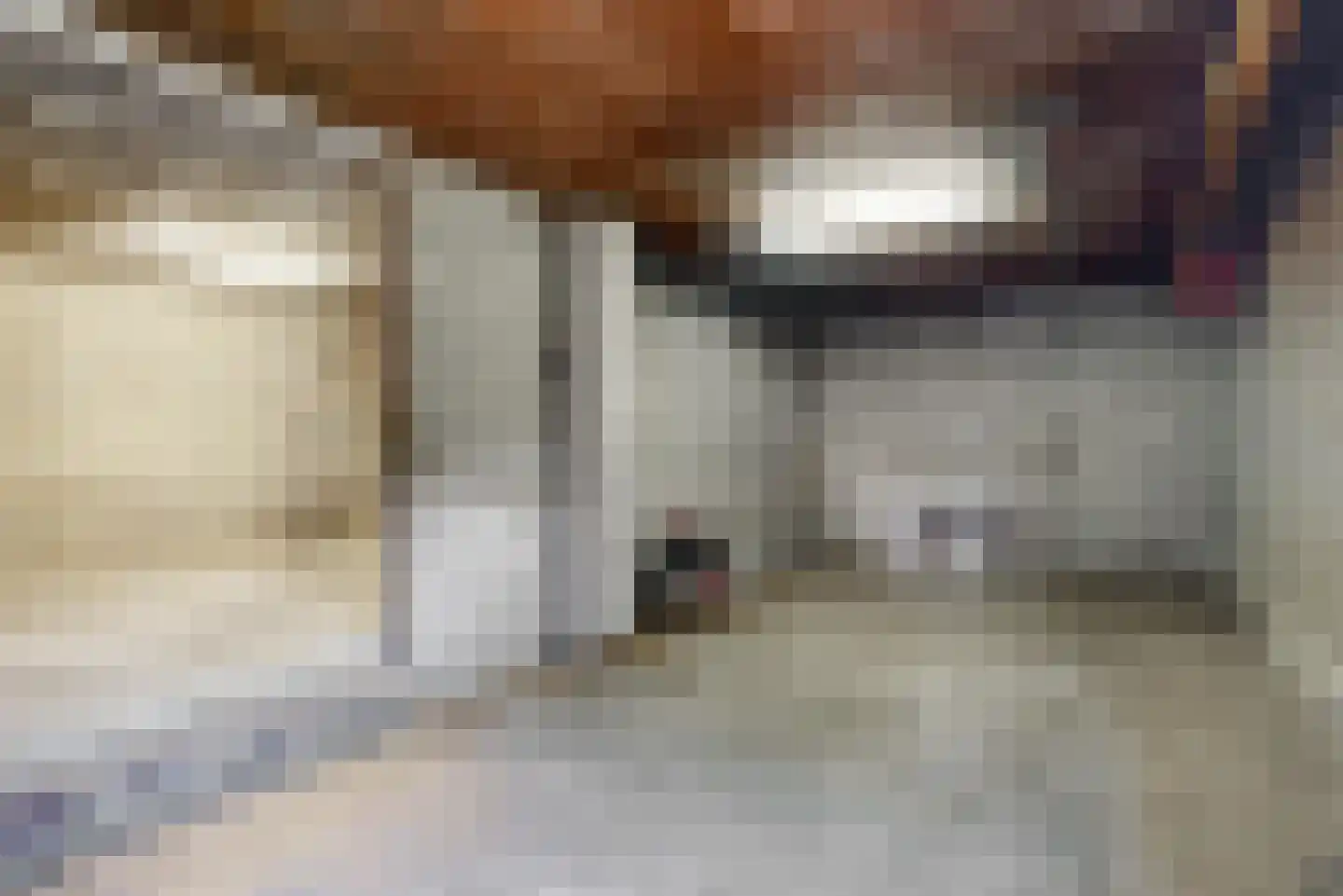 Neerbeekerstraat 61 Beek thumbnail 14