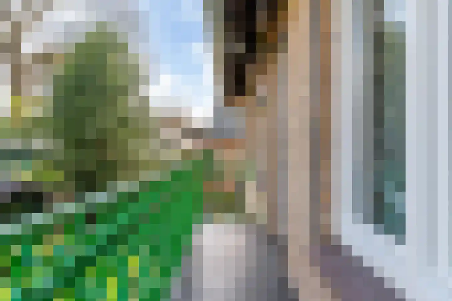 Neerbeekerstraat 61 Beek thumbnail 16